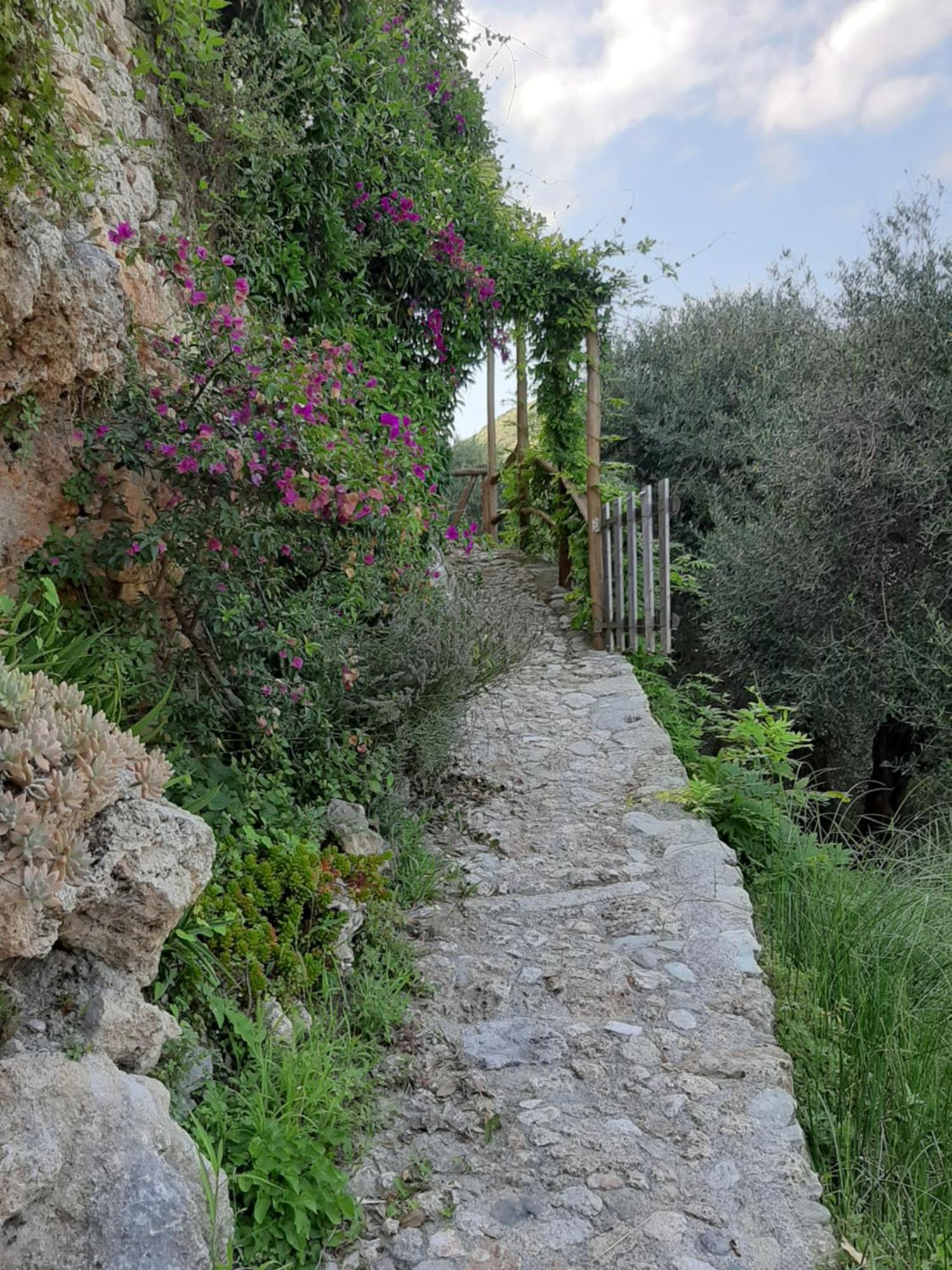 Guesthouse Contrada Bolla Finale Ligure Exterior foto